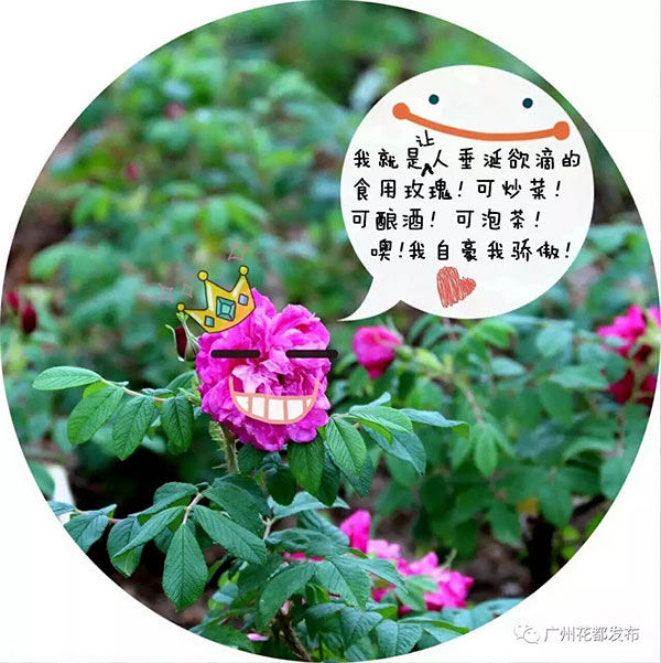 沙巴体育试玩
