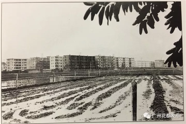 沙巴体育试玩
