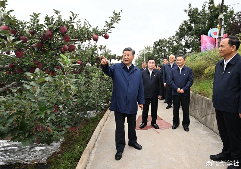 沙巴体育试玩