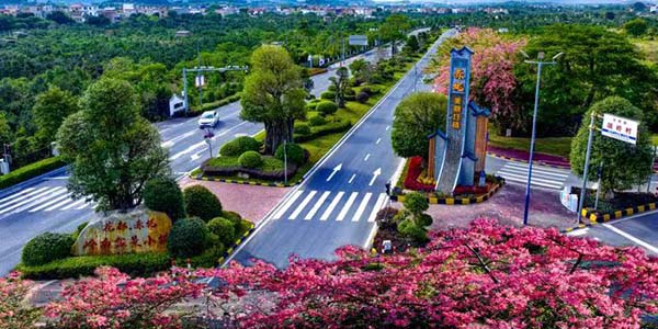 农业农村部公布2025年国家乡村振兴示范县创建名单            广州花都榜上有名