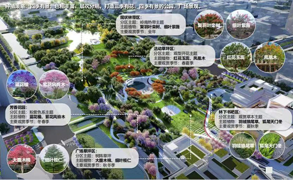 花都中轴线公园“上新”