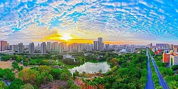 花都区高质量发展大会吹响奋战“十五五”开局之年“集结号”  政企同心发力 赋能提质增效