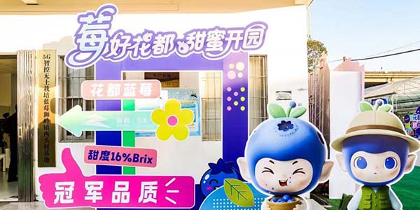 从“一颗小蓝莓”到  “亿元产业”的花都实践