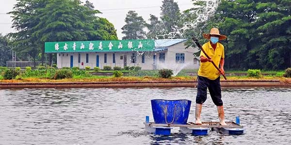 花都渔业交出“绿色答卷”