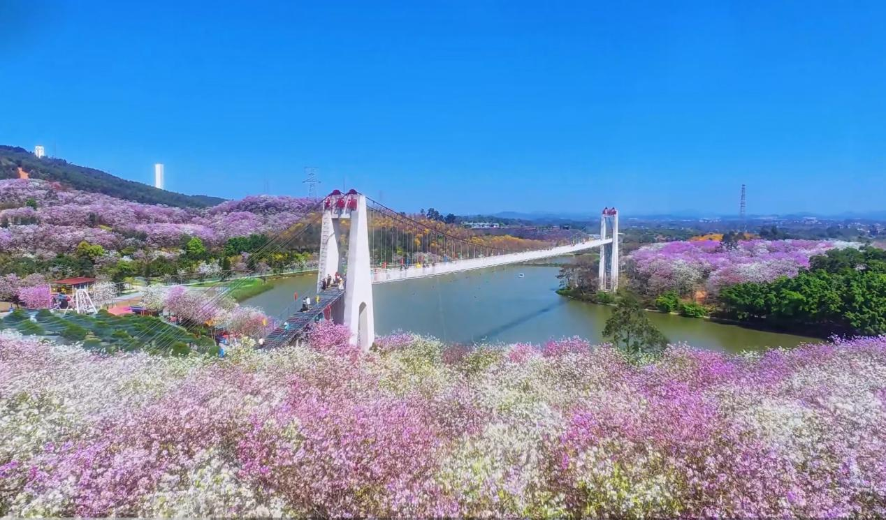 图片11.png
