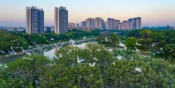 花都率先落地“花八条”，住房教育高效衔接  以更大力度“投资于人”
